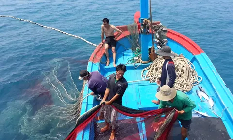 Đợt kiểm tra lần thứ 5 về chống khai thác thuỷ sản bất hợp pháp, không báo cáo, không theo quy định