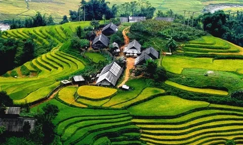 Đến năm 2030, Vùng Trung du và Miền núi phía Bắc là vùng nông nghiệp giá trị cao, hữu cơ, đặc sản, xanh, tuần hoàn