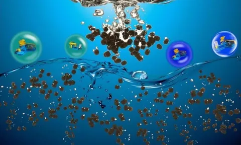 Sản xuất thức ăn thủy sản từ chất thải công nghiệp