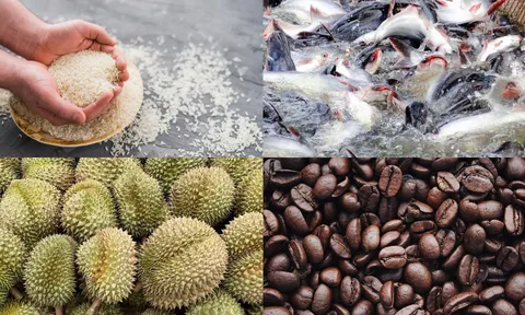 4 tháng đầu năm: Tổng kim ngạch xuất khẩu nhóm hàng nông sản tăng 26% so với cùng kỳ năm 2023