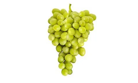 Pretty Lady Vineyards ra mắt giống nho xanh không hạt mới