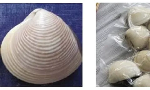 Nghêu "Bến Tre" được cấp chứng nhận đăng ký chỉ dẫn địa lý