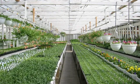 Những quốc gia đang áp dụng hiệu quả mô hình nông nghiệp đô thị vào thực tiễn