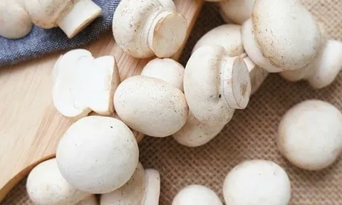 Chất thải gốc nấm có thể là nguồn bổ sung thức ăn lành mạnh, rẻ tiền cho gà