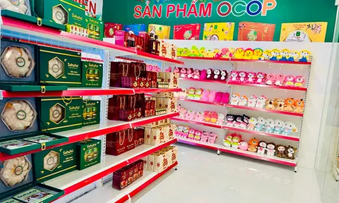 Tưng bừng triển khai gian hàng OCOP cùng Vincom Retail