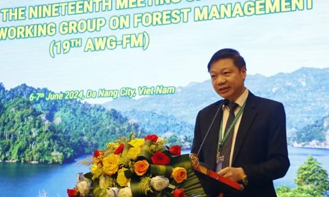 Hội nghị Tổ công tác ASEAN về quản lý rừng bền vững