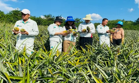 Khuyến nông gặp nhiều thách thức trong quá trình chuyển đổi nông nghiệp