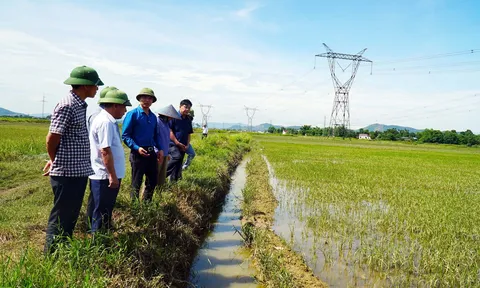 Nghệ An: Hơn 5.540 ha lúa và hoa màu bị thiệt hại do mưa lớn