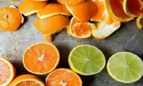 Nghiên cứu công nghệ sản xuất pectin từ vỏ quả cam, chanh, chanh leo tươi