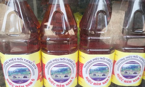 Bảo hộ chỉ dẫn địa lý “Nam Ô” cho sản phẩm nước mắm