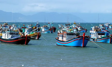Quyết tâm cao gỡ cảnh báo "Thẻ vàng" IUU