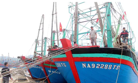 Tỉnh Nghệ An yêu cầu xử lý triệt để đối với các trường hợp tàu cá mất kết nối thiết bị giám sát hành trình trên biển