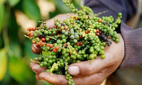 Tăng cường xúc tiến thương mại vào thị trường Nga