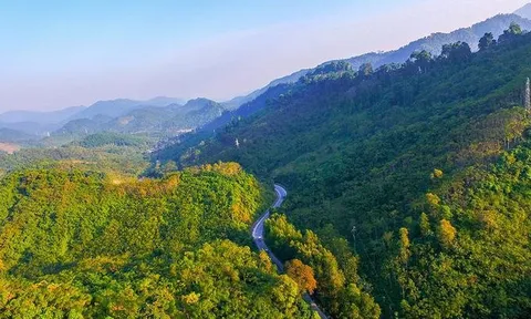 Tỉnh Nghệ An triển khai thực hiện các hoạt động chi trả giảm phát thải nhà kính vùng Bắc Trung Bộ