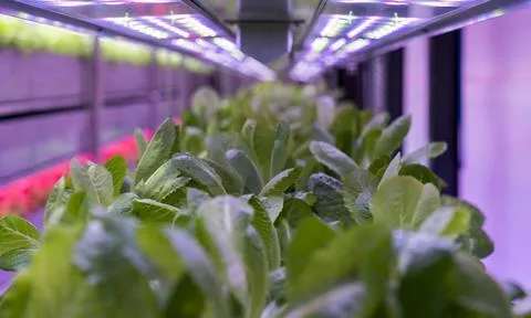 Vertical Future đứng đầu bảng xếp hạng công nghệ CEA toàn cầu