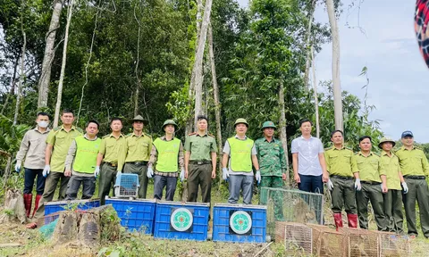 Tái thả 36 cá thể động vật hoang dã về môi trường tự nhiên ở Vườn Quốc gia Vũ Quang
