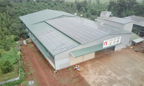 Đắk Lắk: Lĩnh vực nông nghiệp chính là “đầu tàu” trong việc phát triển kinh tế tại huyện Krông Pắc