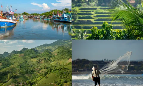 Tháng 7/2024: Thủy sản nuôi trồng tăng khá