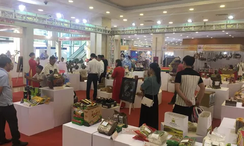 Hội chợ Triển lãm hàng công nghiệp nông thôn tiêu biểu năm 2024