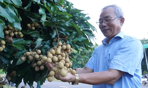 Công nhận huyện Châu Thành (Đồng Tháp) đạt chuẩn nông thôn mới