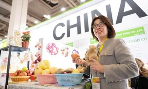 Fruit Logistica mở rộng khi nhu cầu của nhà triển lãm tăng lên