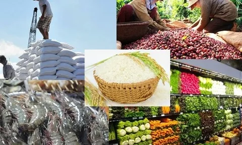 Báo cáo Triển vọng Nông nghiệp FAO-OECD 2024-2033: Các nền kinh tế mới nổi sẽ dẫn đầu thị trường