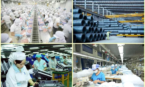 Thỏa thuận Xanh châu Âu: Doanh nghiệp cần đẩy mạnh thích ứng