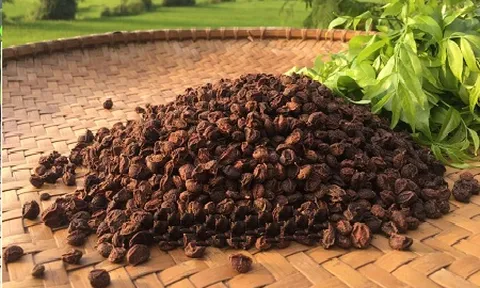 Bảo hộ chỉ dẫn địa lý "Lạng Sơn" cho sản phẩm mác mật
