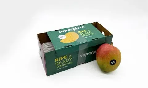 Superplum giới thiệu xoài ăn liền tươi như vừa hái trên cây