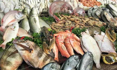 Cập nhật mới nhất quy định về nhập khẩu thủy sản của thị trường EU