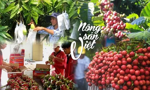 EVFTA mở rộng thị trường xuất khẩu cho nông sản Việt tiến vào EU
