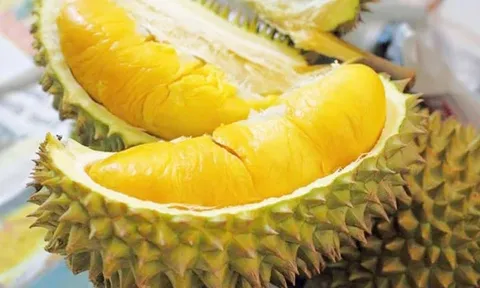 Sầu riêng đông lạnh, dừa tươi, cá sấu chính thức được xuất chính ngạch sang Trung Quốc