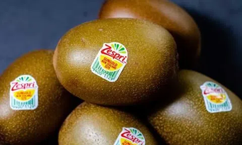 Zespri chuẩn bị cho "mùa cạnh tranh" sau khởi đầu ấn tượng