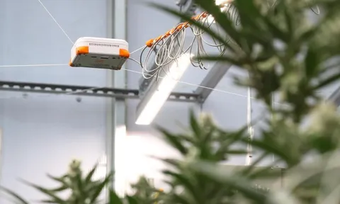 Neatleaf Spyder - thiết bị phát hiện các “điểm nóng” trong vườn