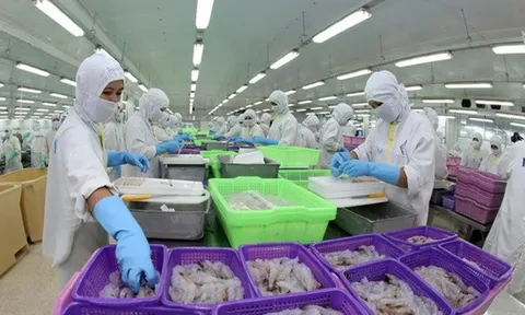 Hợp tác thủy sản Việt Nam - Ấn Độ