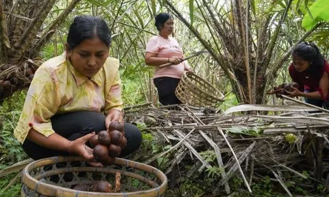 Bổ sung ba địa điểm mới vào Hệ thống Di sản Nông nghiệp Quan trọng Toàn cầu (GIAHS)