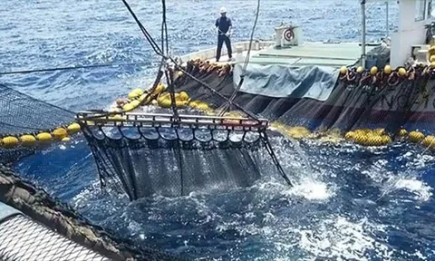 MSC Nhật Bản trao giải thưởng để đẩy mạnh thủy sản bền vững
