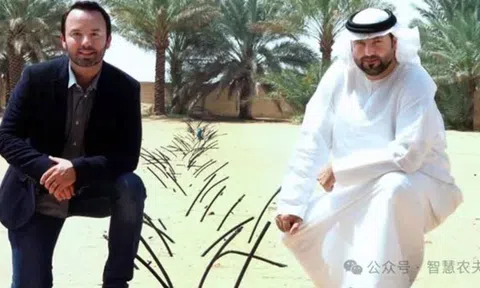 UAE: Trồng rau trên sa mạc