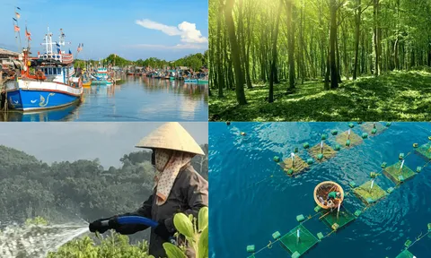 Tháng 10/2024: Ngành lâm nghiệp tiếp đà tăng trưởng, ngành khai thác thủy sản gặp khó khăn