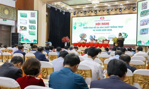 Nghệ An triển khai Đề án sản xuất vụ Xuân năm 2025