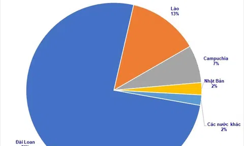 Đài Loan chi phối xuất khẩu hàu của Việt Nam