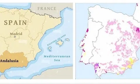 Công nghệ kết hợp cải tạo đất nhiễm mặn kiềm ở Andalusia (Tây Ban Nha)