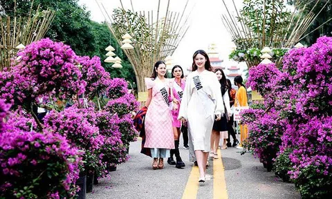 Festival hoa Mê Linh lần thứ 2 diễn ra trong 4 ngày