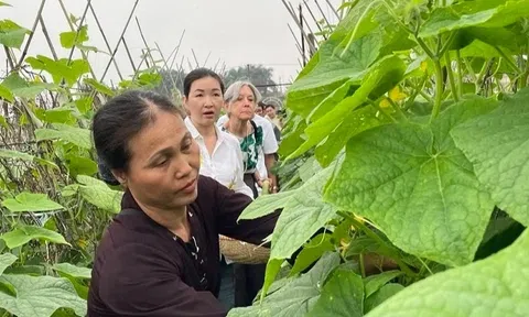 Đồng hành cùng nông dân Việt Nam trong giai đoạn mới