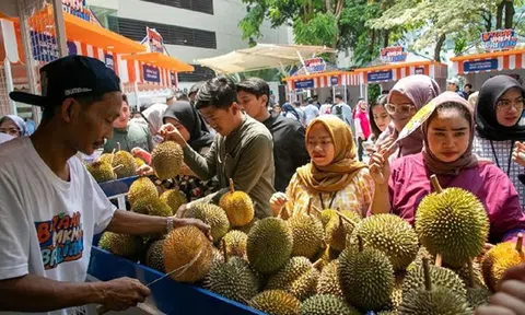 Sầu riêng Indonesia “tìm đường” sang Trung Quốc vào năm 2025