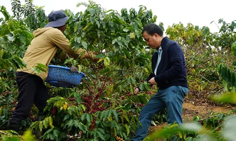 Phúc Sinh: Hành trình gắn kết giữa thiên nhiên, con người và trách nhiệm