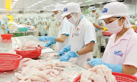 Top các công ty xuất khẩu cá tra lớn nhất Việt Nam 10 năm qua