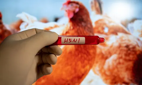 Virus H5N1 lây sang động vật có vú, Thái Lan tăng cường kiểm soát dịch bệnh