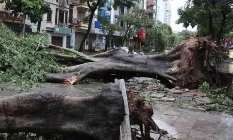 Bão Yagi đổi tên thành Tomo, bão Trami chính thức mang tên mới Hoaban