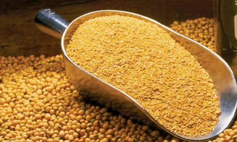 Doanh nghiệp nhập khẩu phải thực hiện nghiêm quy định về công bố, đánh giá, lưu hành thức ăn chăn nuôi
